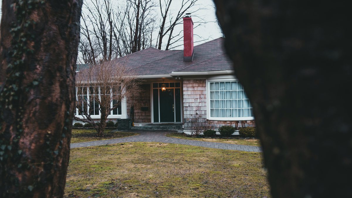 A shingled ranch house with a red brick chimney, seen between two tree trunks in late winter.